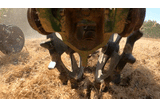 Martin-Till fCrusher Closing Wheel